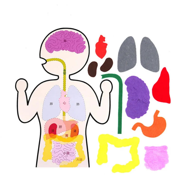 Montessori Non-woven Fabric Lacing Toys for Toddlers Kids Cartoon Animal Sewing Kit Fine Motor Skill Busy Board DIY Art Craft