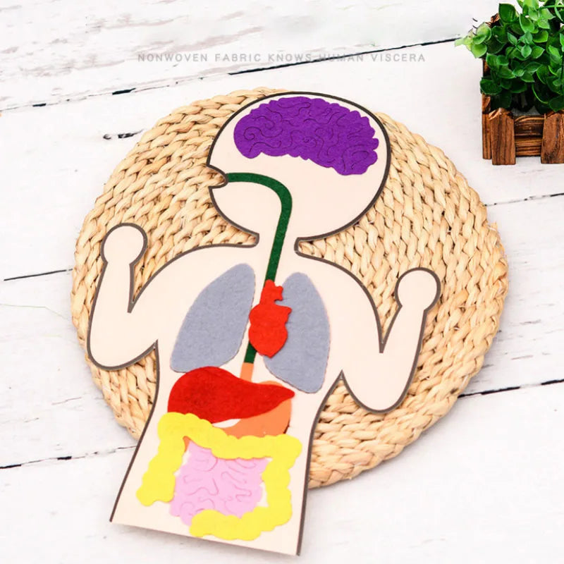 Montessori Non-woven Fabric Lacing Toys for Toddlers Kids Cartoon Animal Sewing Kit Fine Motor Skill Busy Board DIY Art Craft